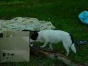 dsc00235.jpg