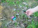 dsc00306.jpg