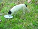 dsc00314.jpg