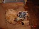 dsc00854.jpg