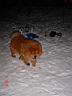 dsc02377.jpg