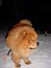 dsc02383.jpg