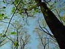 dsc02539.jpg