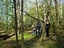 dsc02540.jpg