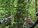 dsc02545.jpg
