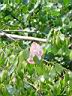 dsc00949.jpg