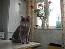 p1010036.jpg