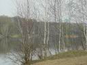 dsc00065.jpg