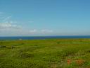 dsc00692.jpg