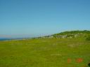 dsc00693.jpg