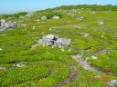 dsc00694.jpg
