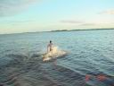dsc00791.jpg