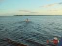 dsc00792.jpg