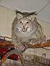 dsc02824.jpg