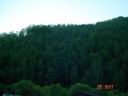 dsc02870.jpg