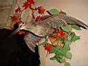 dsc03499.jpg