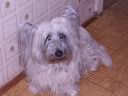 PICT0052.JPG