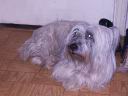 PICT0060.JPG