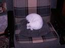 PICT0064.JPG