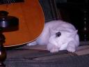PICT0088.JPG