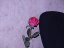 PICT0089.JPG