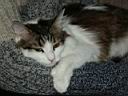 pict0091.jpg